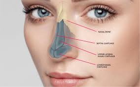 Rhino Plastic Shape Your Nose